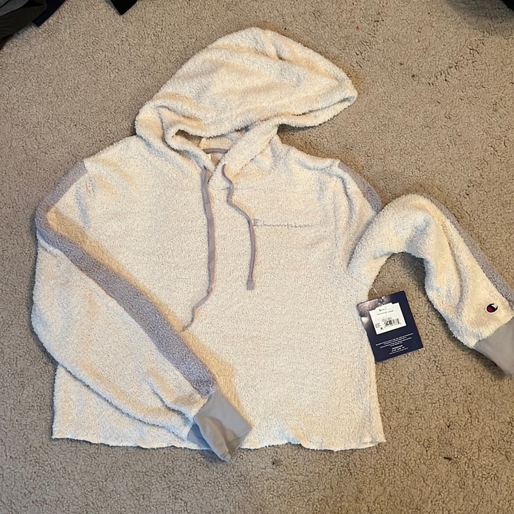 Champion crop top sweatshirt
